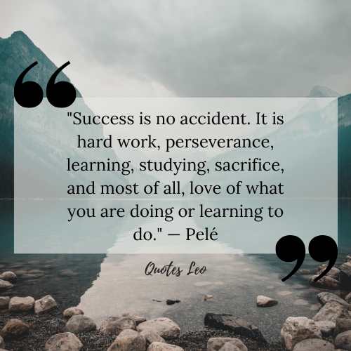 quotes on efforts and success