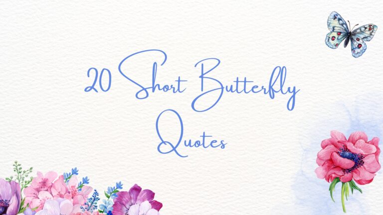 20 Short Butterfly Quotes